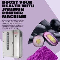 Fruit Processing Machinery - 100 kg/hr Capacity, Automatic Operation, Stainless Steel Body, 0.5-50 HP Power Output