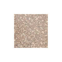 Copper Silk Granite Tiles - Granite Material, Polished Finish, Warm Beige Color | Durable, Low-maintenance, Suitable For Indoor & Outdoor Use