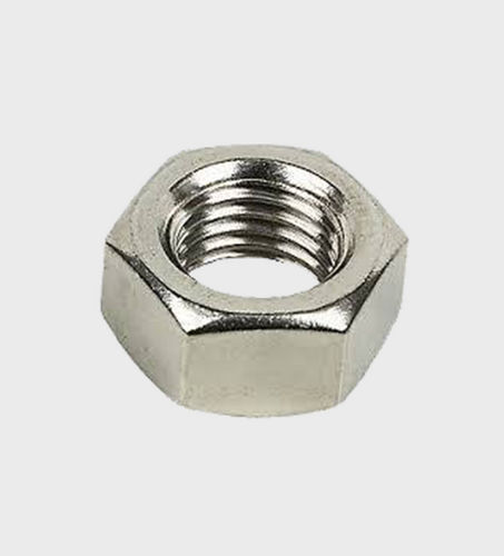 Ss Hex Nut