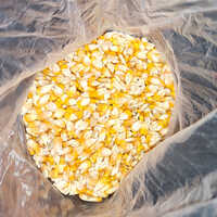 Maize Cattle Feed - Color: Yellow