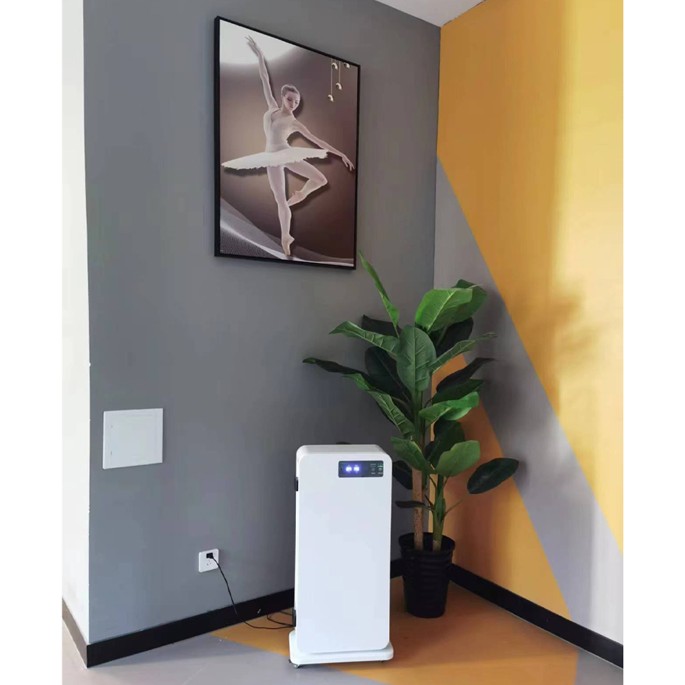 Low Noise Air Purifier Efficient Sterilization