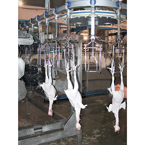 Poultry Defeathering Machine