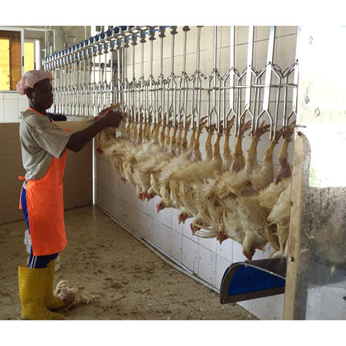 Poultry Defeathering Machine - Feature: Durable