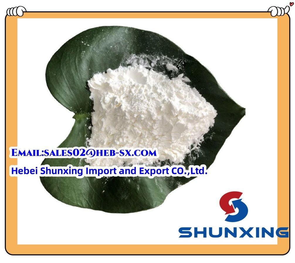 Excellt Quality Sodium Carboxymethyl Cellulose CMC Thickening Emulsifier Agent