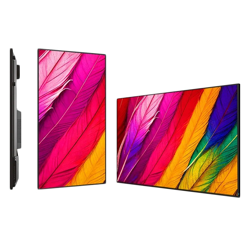 LV55UC Logic Professional Display
