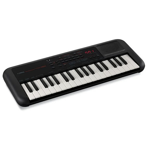 Musical Keyboard