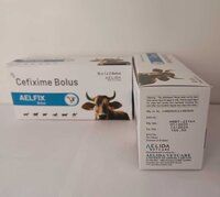 Ceftriaxone and Sulbactam Injection 4.5 gm In Veterinary PCD Franchise Company