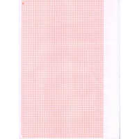 Stress Test Ecg Graph Paper Tmt Paper - Size: A4 Size (pack Of 500 Sheets)
