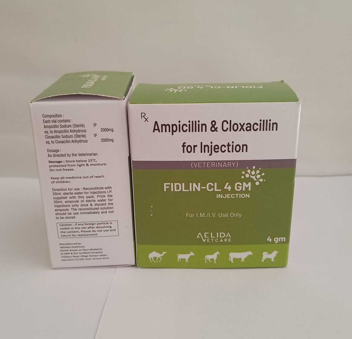 Ampicillin and cloxacillin injection  long  Acting