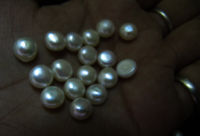 10 Pcs Set Natural White Pearls Coin Shape Round Plain 7 To 10mm Pearl