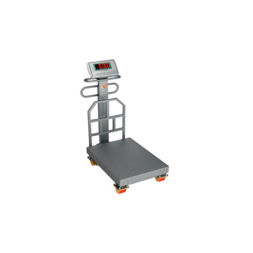 Digital Platform Scale