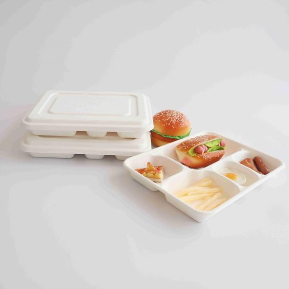 Bagasse Compartment Meal Tray With Lid