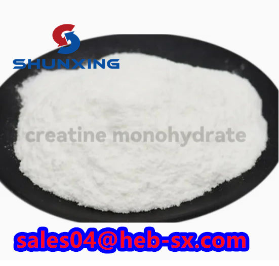 Wholesale Sports Nutrition Creatine Bulk Pure Creatine Monohydrate CAS 6020-87-7