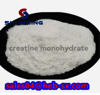 Wholesale Sports Nutrition Creatine Bulk Pure Creatine Monohydrate CAS 6020-87-7