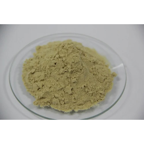 Protein Hydrolysate Powder