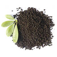 Humic Granules - 99% Purity, Controlled Release Organic Fertilizer For Agriculture Applications, Easy To Apply And Store