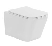 Glossy White Toilet - Installation Type: Wall Mounted