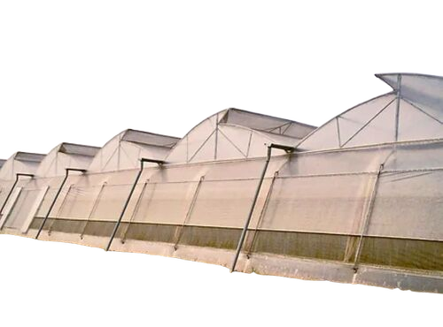 Naturally Ventilated Polyhouse (Saw Tooth Shape) - Base Material: Gi (Galvanized Iron)
