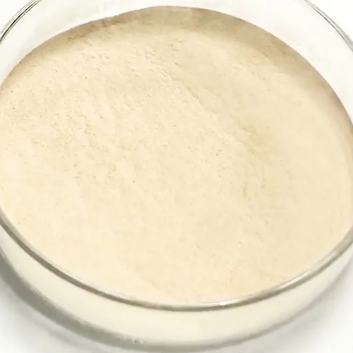 Phytase Enzyme Powder