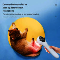 Handheld Laser Therapy for Relieve Neck Back Arthritis Pain Rechargeable