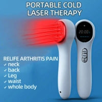 Laser Physiotherapy 650nm 808nm Handheld Handy Portable Arthritis Knee Cervical Pain Relief