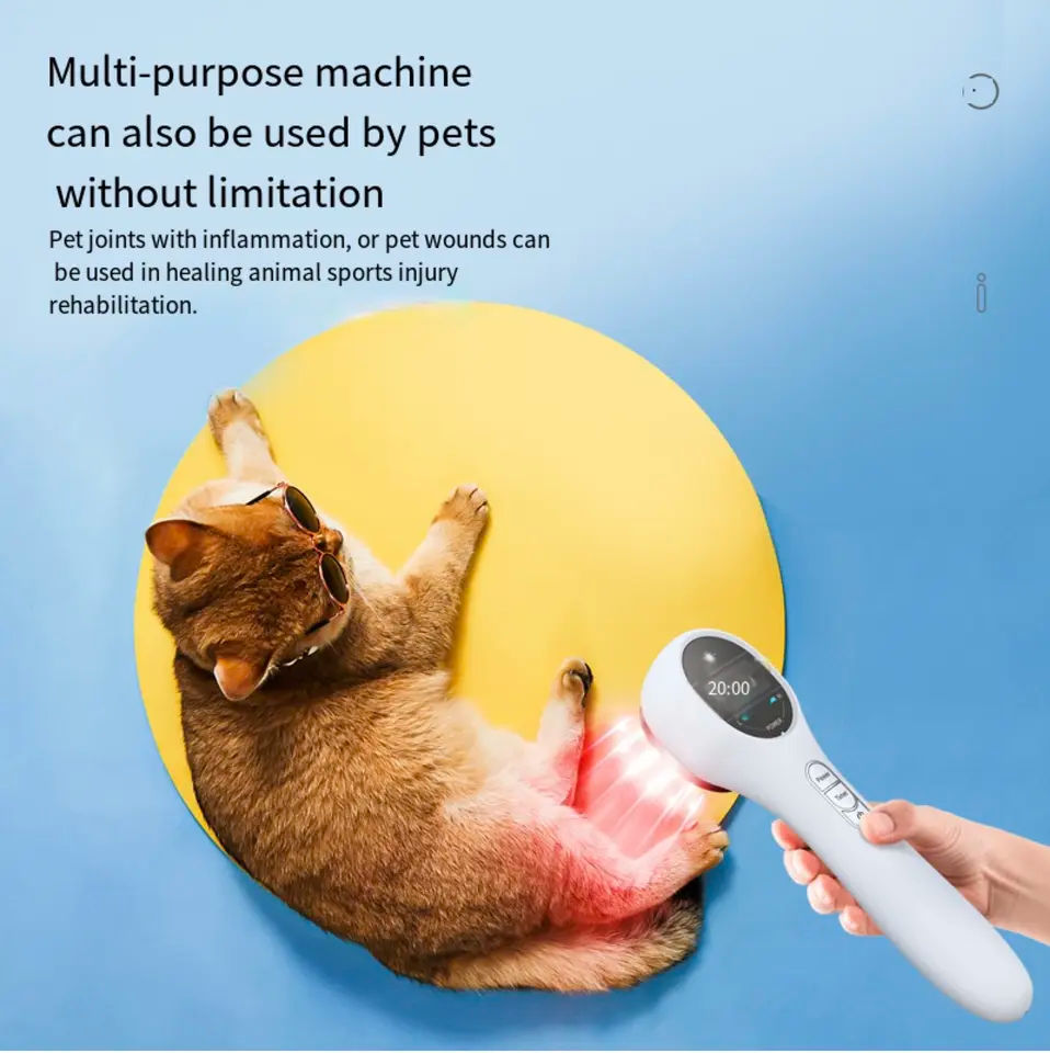 LASER Therapy Device, 650nm&808nm Light Therapy, For Body Arthritis Physiotherapy,