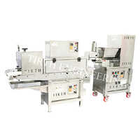 Gulab Jamun Making Machine Te01-b - 02-b - General Use: Industrial