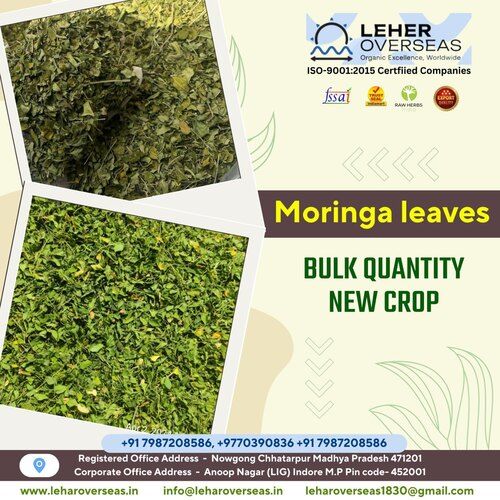 Moringa Leaves