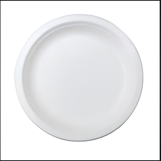 10" Round Plate - Sugar Cane Bagasse, Eco-Friendly & Microwave Safe | Standard White Design for Events and Parties