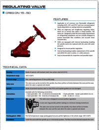 Angle Globe Valve