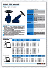 Angle Globe Valve