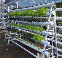 Pyramid Shape Hydroponic System - Durable Plastic, 3-tiered Design | Ideal For Indoor Gardening And Efficient Space Utilization