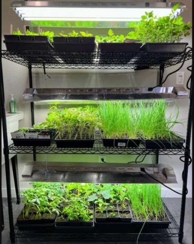 Seedling Raising Rack