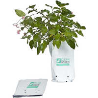 100% Biodegradable Compostable Bag