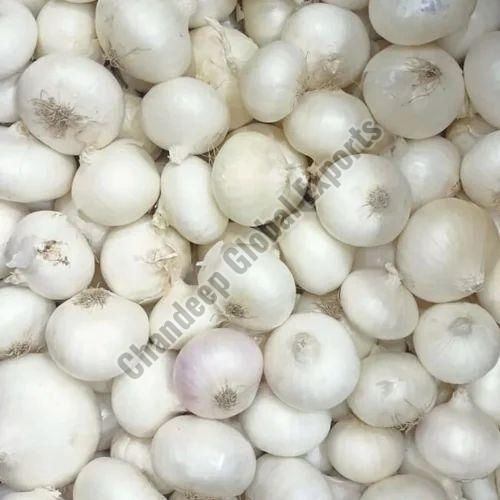 Small White Onion - Preserving Compound: N0