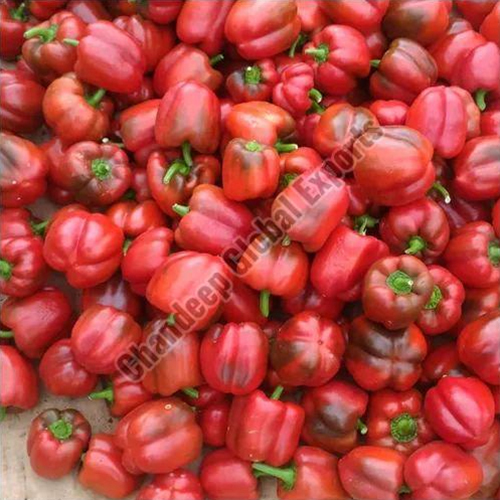 A Grade Red Capsicum