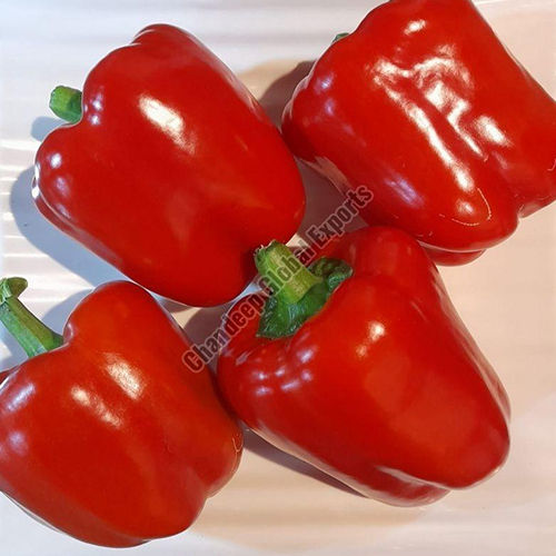 Fresh Red Capsicum