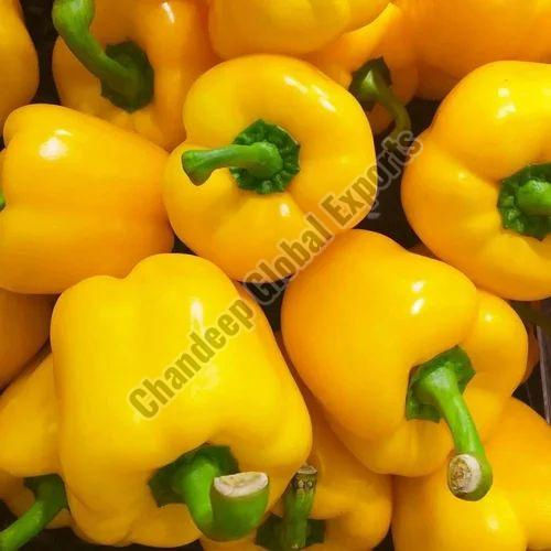 A Grade Yellow Capsicum - Preserving Compound: N0