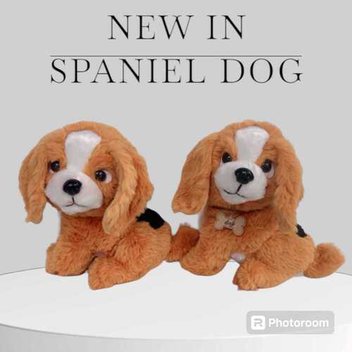 Plush Dog Soft Toys