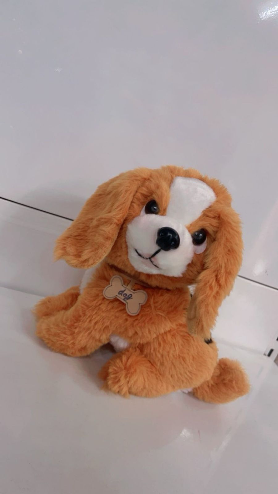 DOG SOFT TOYS