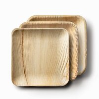 Areca Square Plate