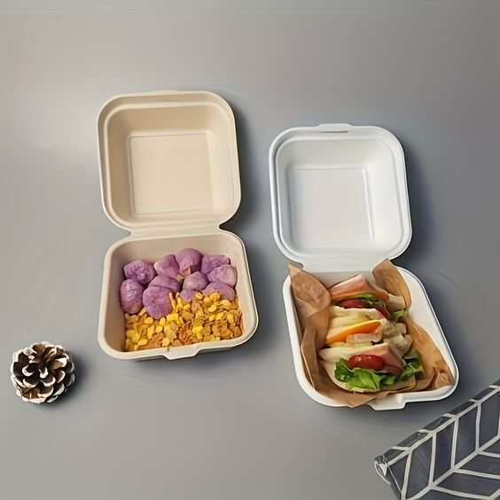 Bagasse Plain & Compartment Clamshell Box