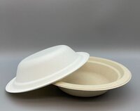 Bagasse Bowl