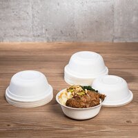 Bagasse Bowl