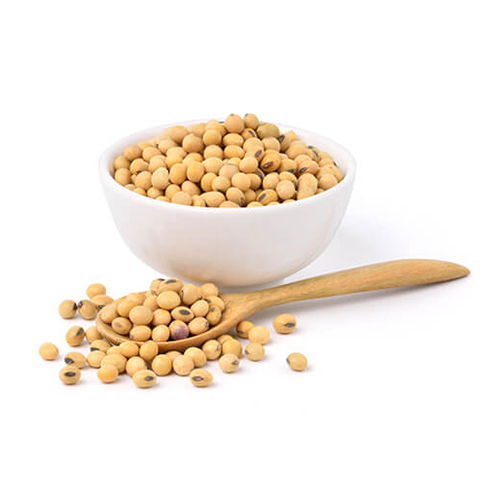 Non-GMO Soybean Seeds
