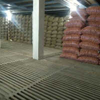 Cold Storage Plant - Capacity: 1000000 Kg/day