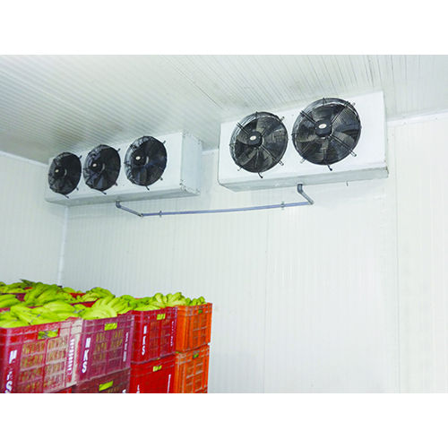 10x10x10 Ft Banana Cold Room - Feature: Durable