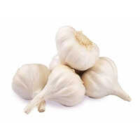 Fresh White Garlic - Moisture (%): Nil