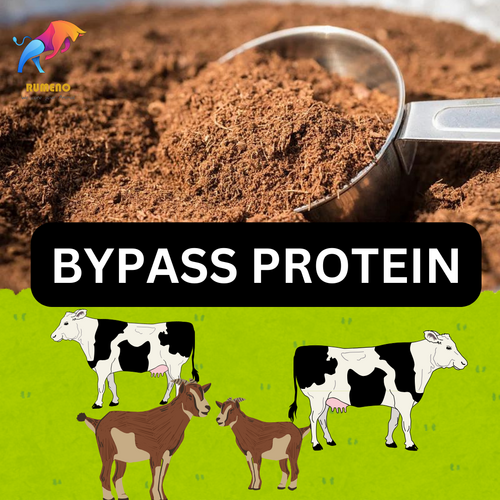 Bypass Protein & Bypass Fat for Livestock