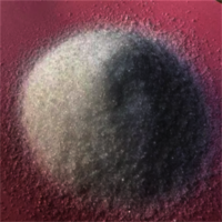 Tetramisole HCl / Tetramisole CAS 5086-74-8